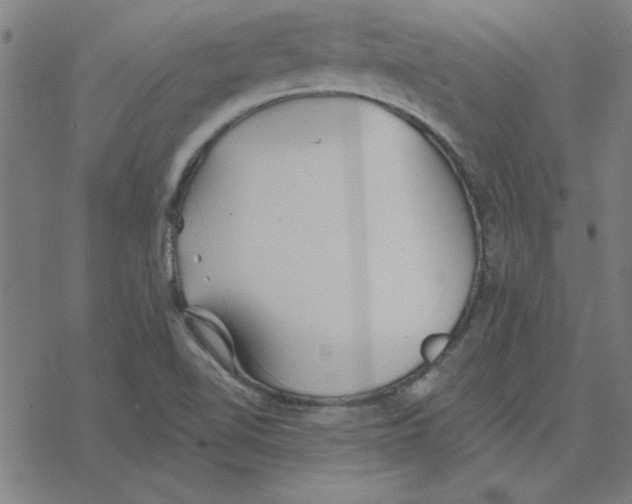 X0000078271510200612011706