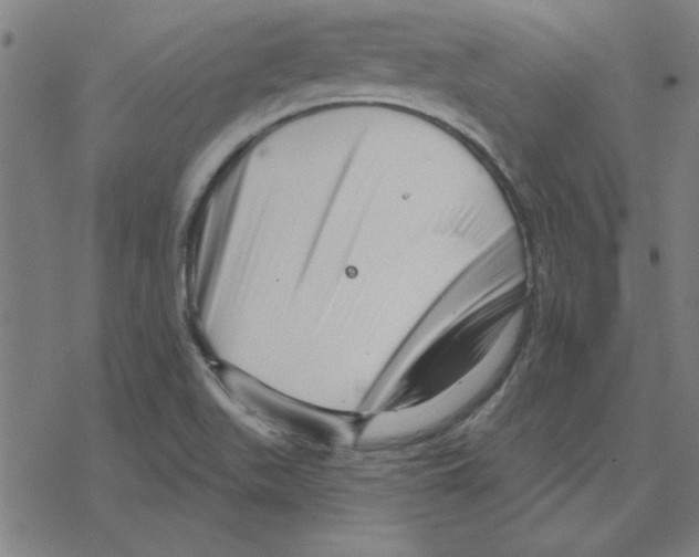 X0000078271511200612011706