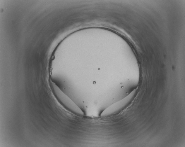 X0000078271512200612011706