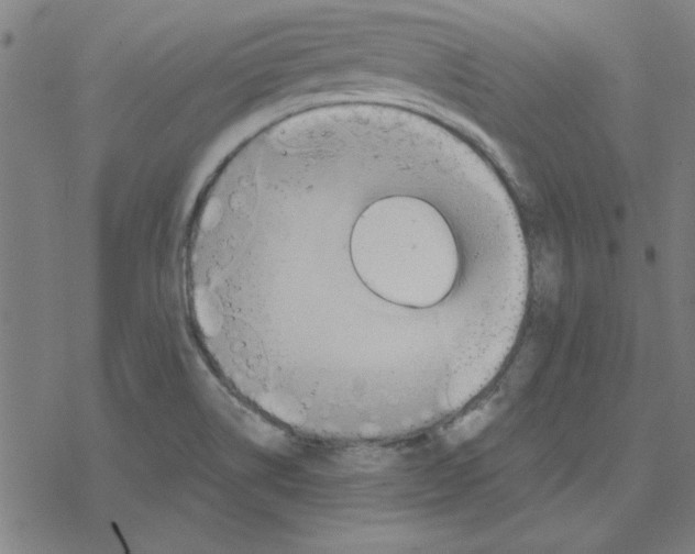 X0000078271514200612011706