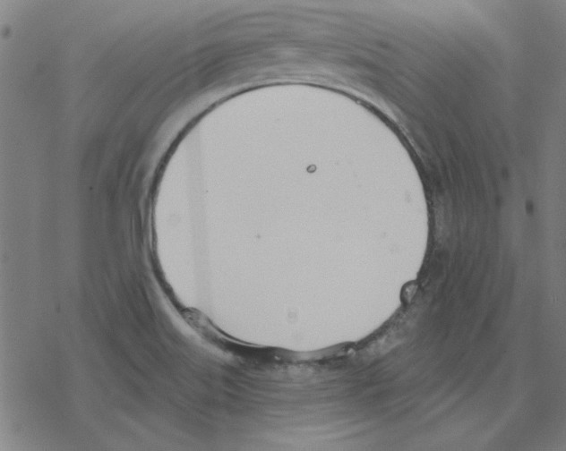 X0000078271515200612011706