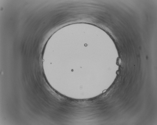 X0000078271516200612011706