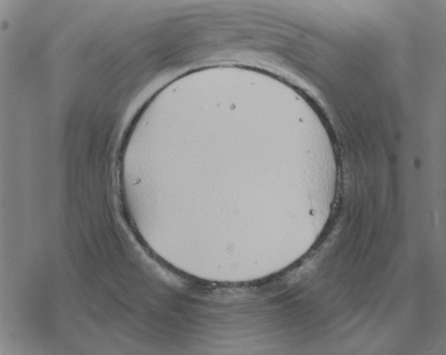 X0000078271517200612011706