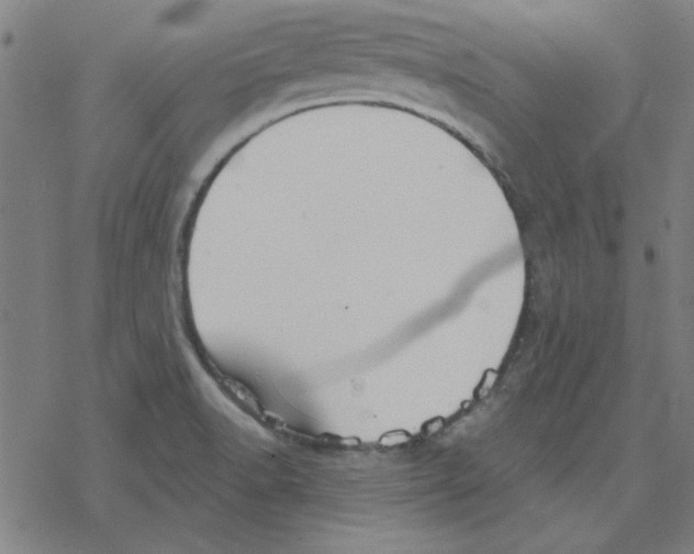 X0000078271518200612011706