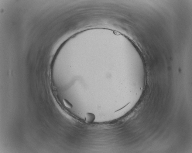 X0000078271519200612011706