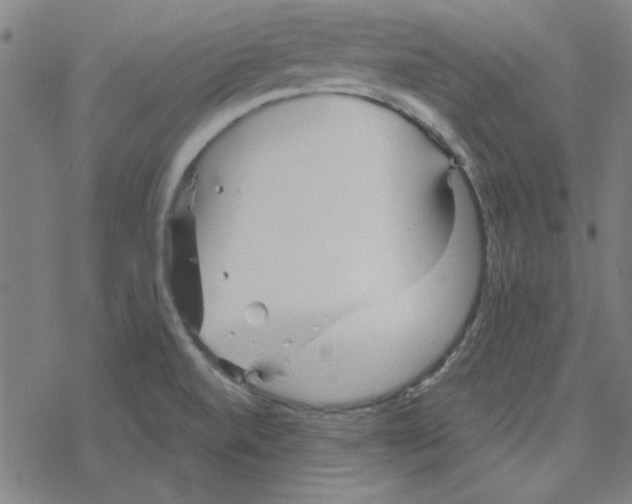 X0000078271520200612011706