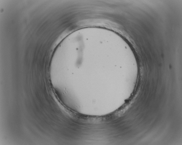 X0000078271521200612011706