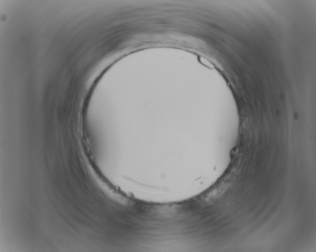 X0000078271523200612011706