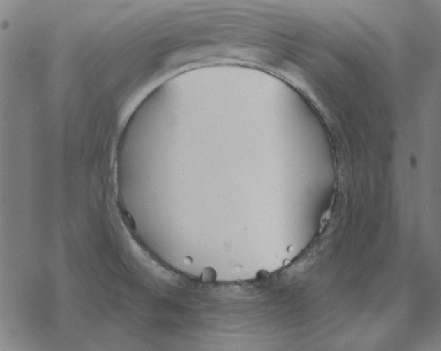 X0000078271524200612011706