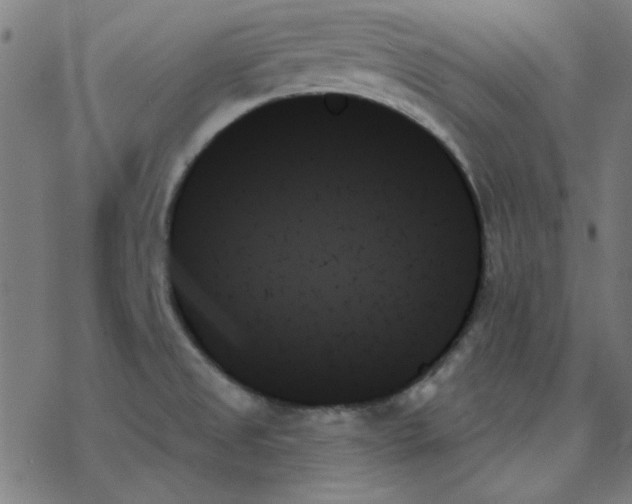 X0000078271525200612011706