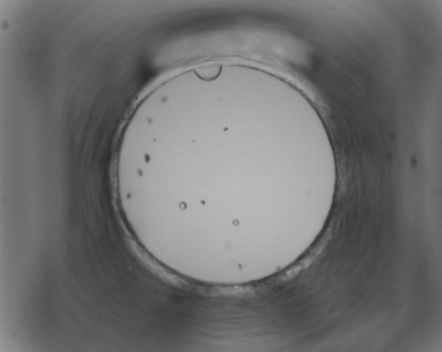 X0000078271526200612011706