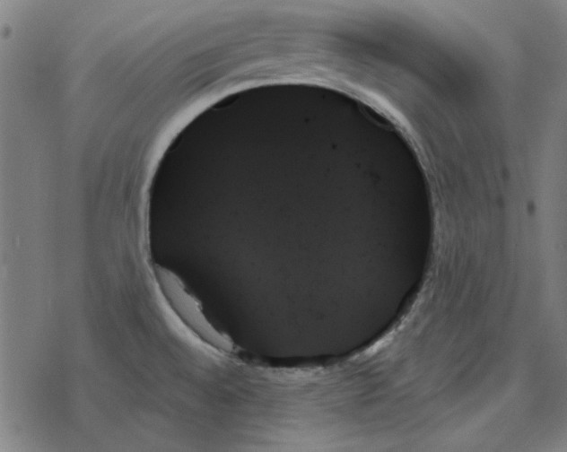 X0000078271528200612011707