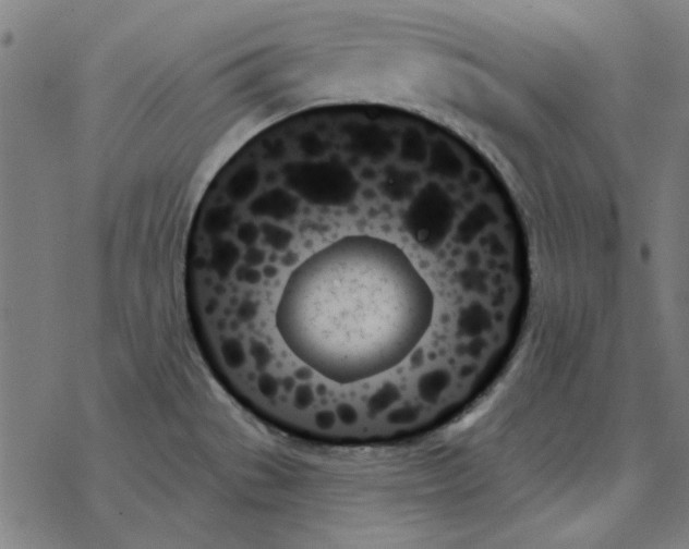 X0000078271529200612011707