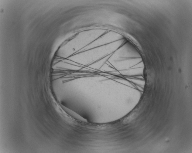 X0000078271530200612011707