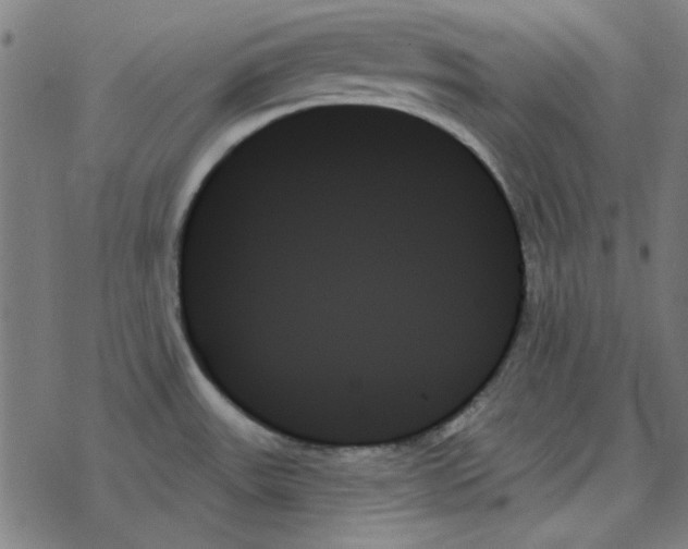 X0000078271531200612011707