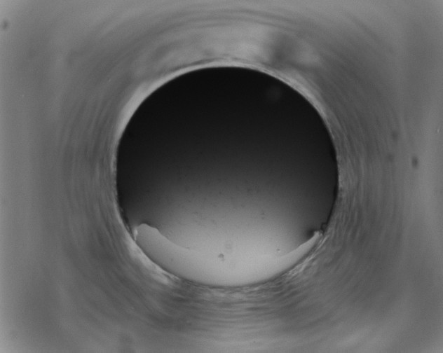 X0000078271532200612011707