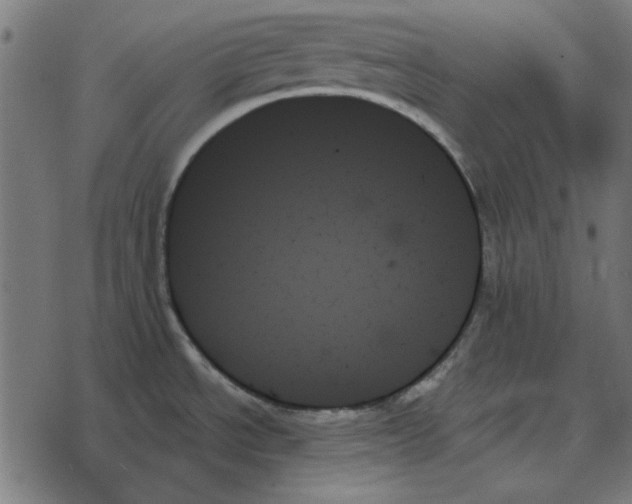 X0000078271534200612011707