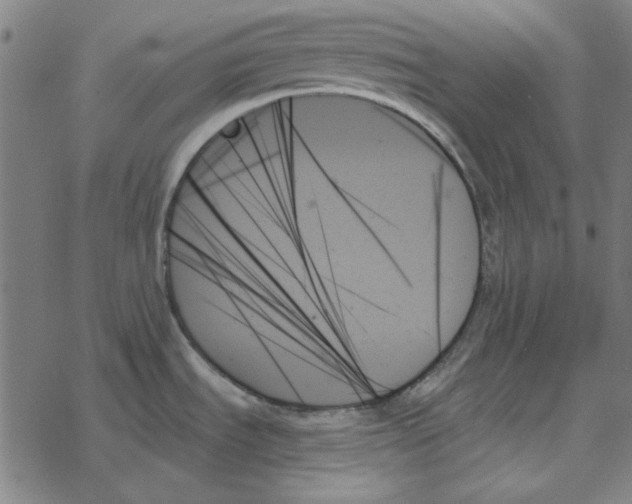 X0000078271535200612011707