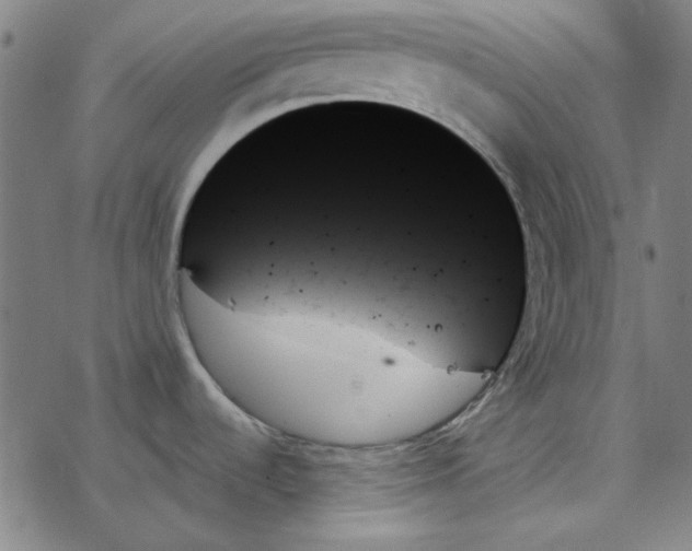 X0000078271536200612011707