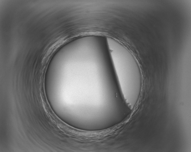 X0000078280001200611031028