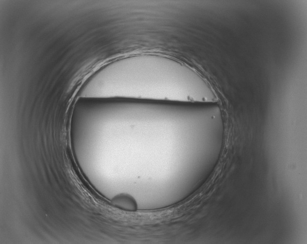 X0000078280002200611031028