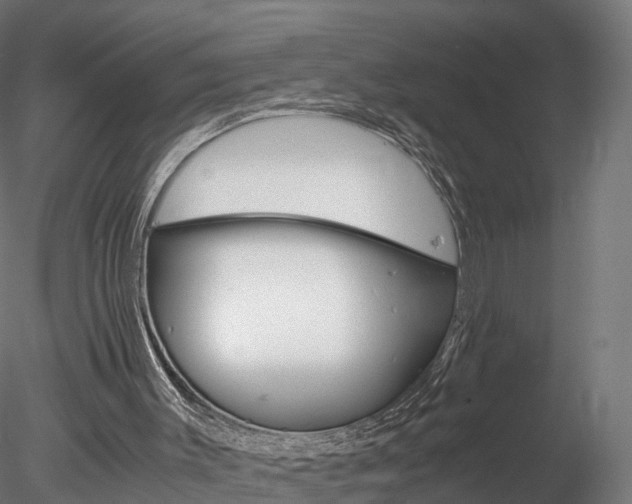 X0000078280003200611031028