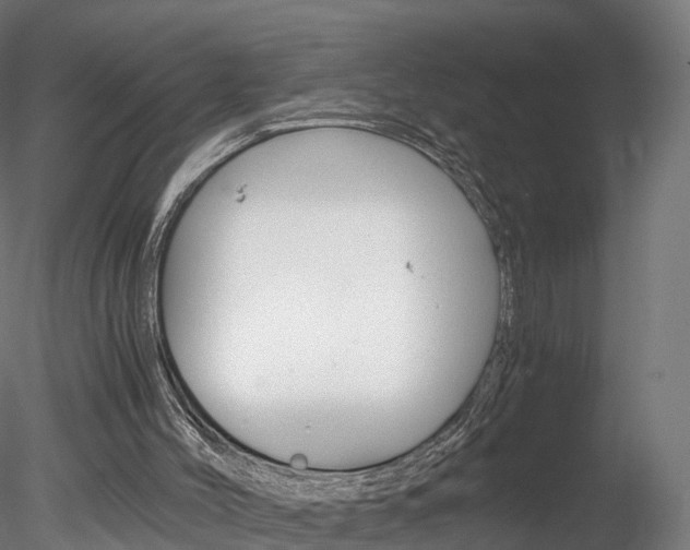 X0000078280004200611031028