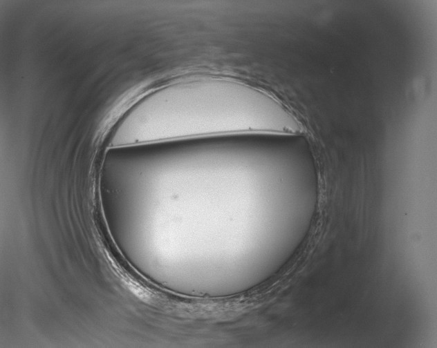 X0000078280005200611031028