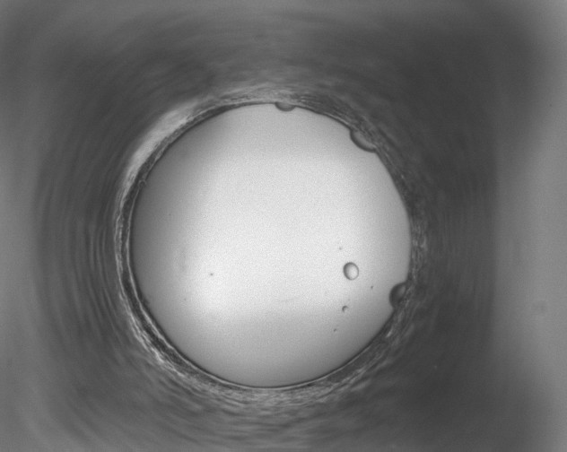 X0000078280006200611031028