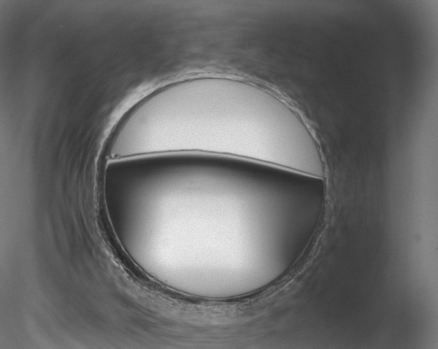 X0000078280008200611031028