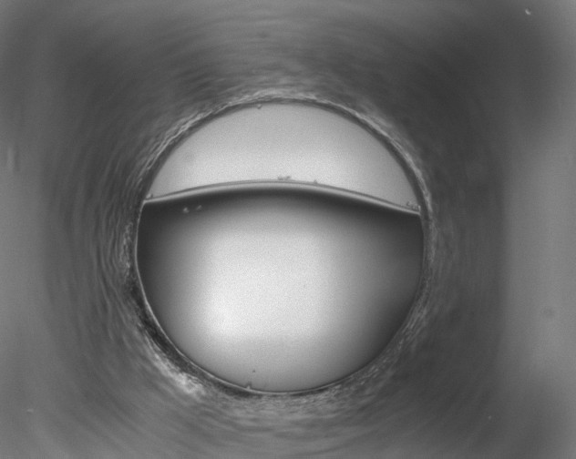 X0000078280009200611031028