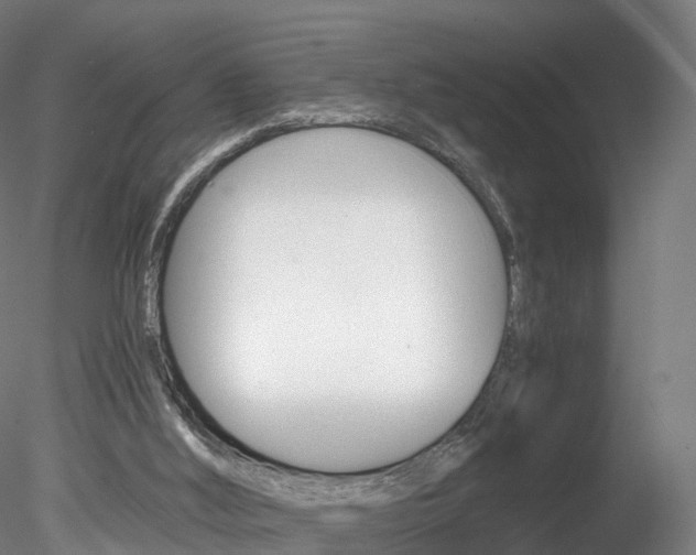 X0000078280012200611031028