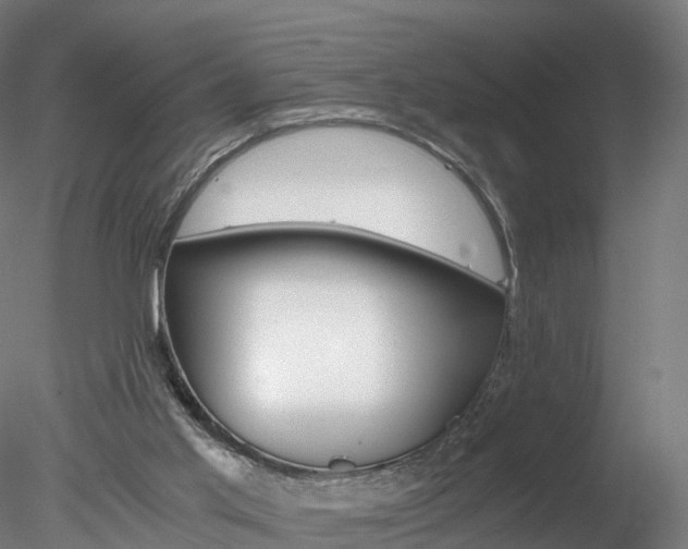 X0000078280013200611031028