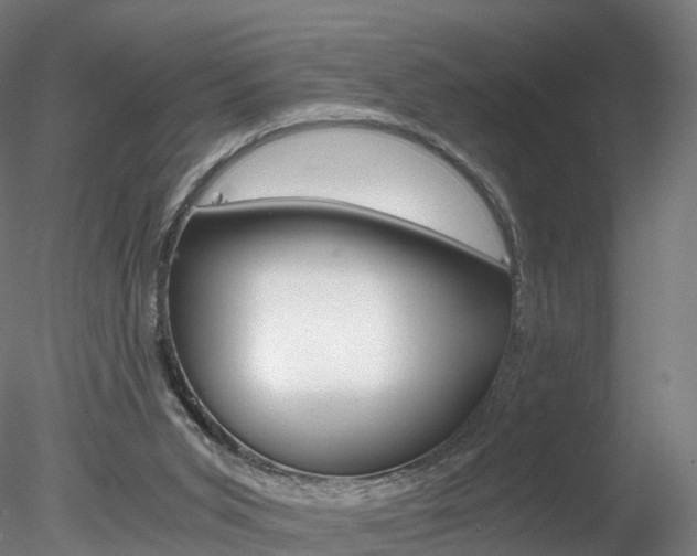 X0000078280015200611031028