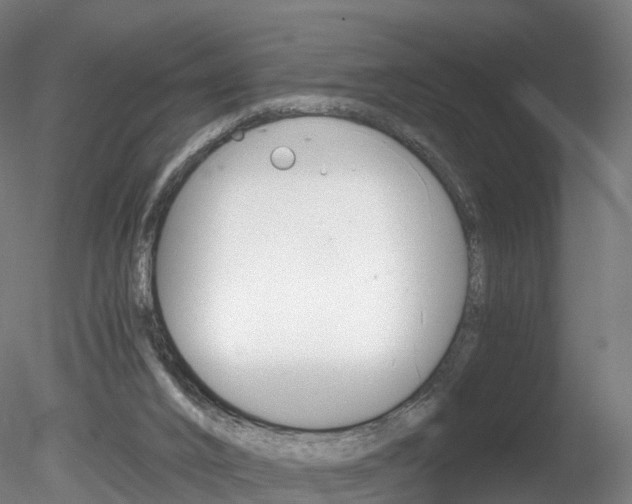 X0000078280016200611031028