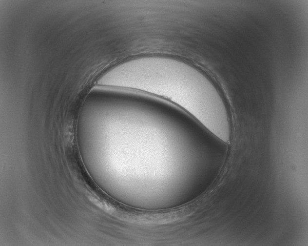 X0000078280017200611031028