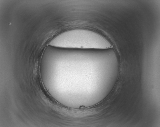 X0000078280018200611031028