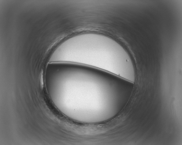 X0000078280020200611031028