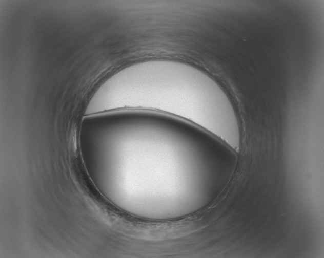 X0000078280021200611031028