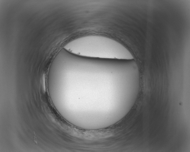 X0000078280022200611031028