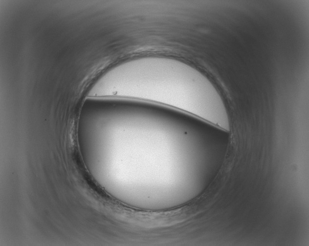 X0000078280023200611031028