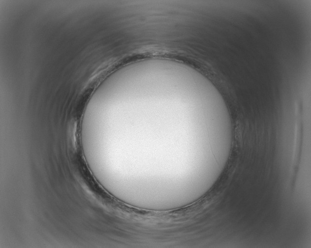 X0000078280024200611031028