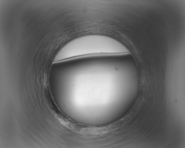 X0000078280025200611031028