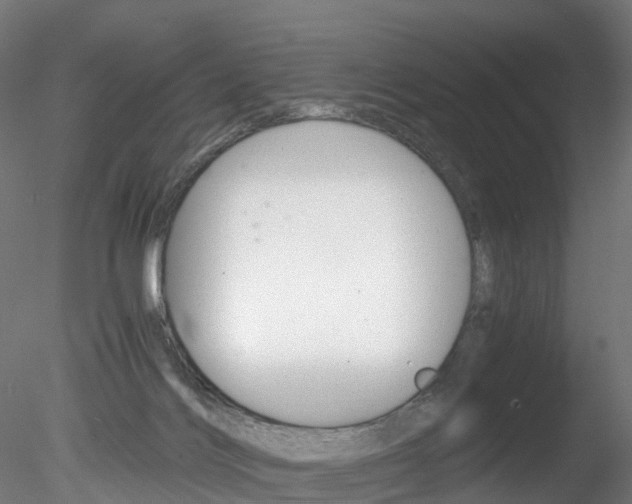 X0000078280028200611031028