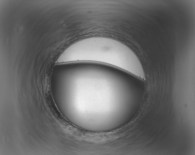 X0000078280029200611031028