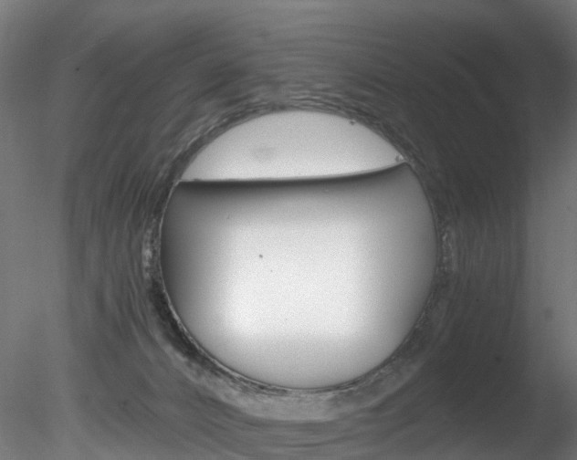 X0000078280032200611031028