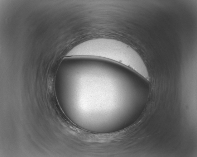 X0000078280033200611031028