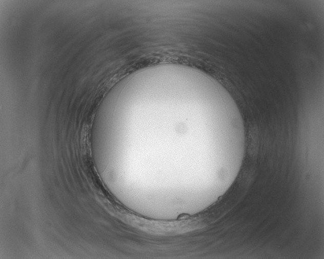 X0000078280034200611031028