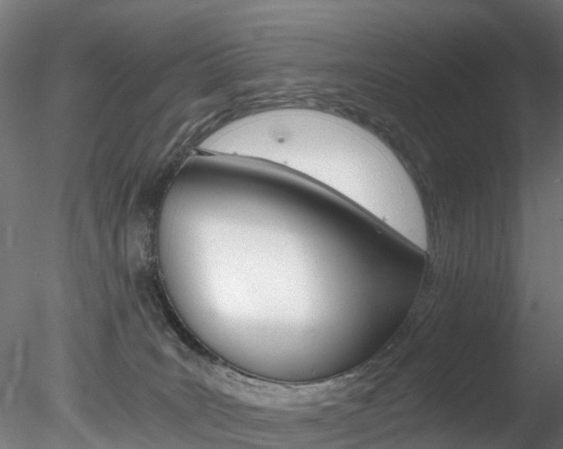 X0000078280035200611031028