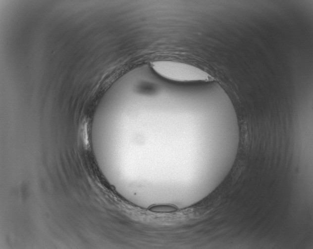 X0000078280042200611031028